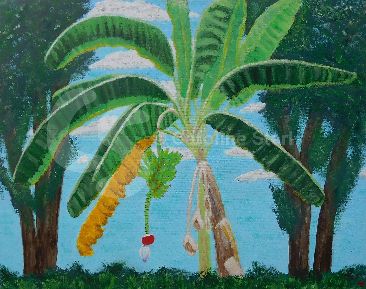 Painting: Banana Tree